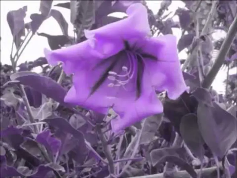 איך להרגע בדקה 1