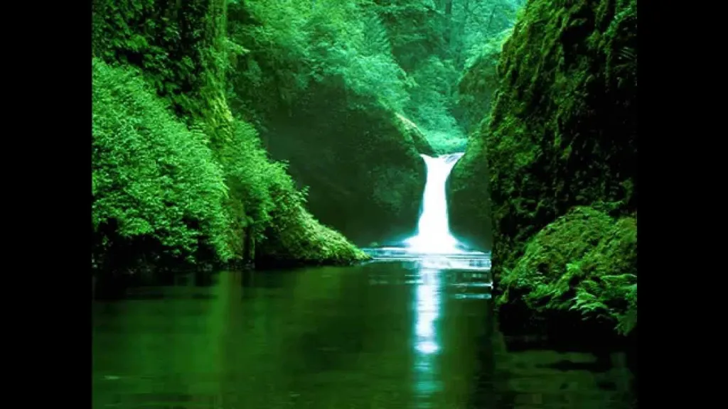 relaxing music – מוזיקה מרגיעה לניקוי הראש והפגת מתחים