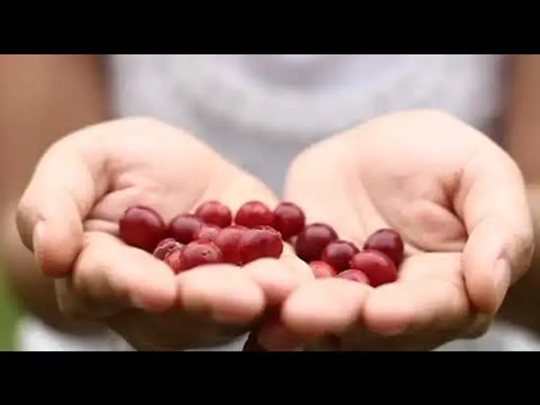 מדיטציה למיגנוט והגשמה מתוך שינה- תהליך מותאם לנשים- ענת אהרוני מלווה אותך להגשמה