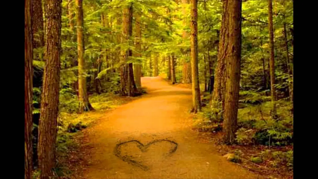 פריצת דרך לזוגיות + דמיון מודרך לשחרור חסמים בדרך לאהבה