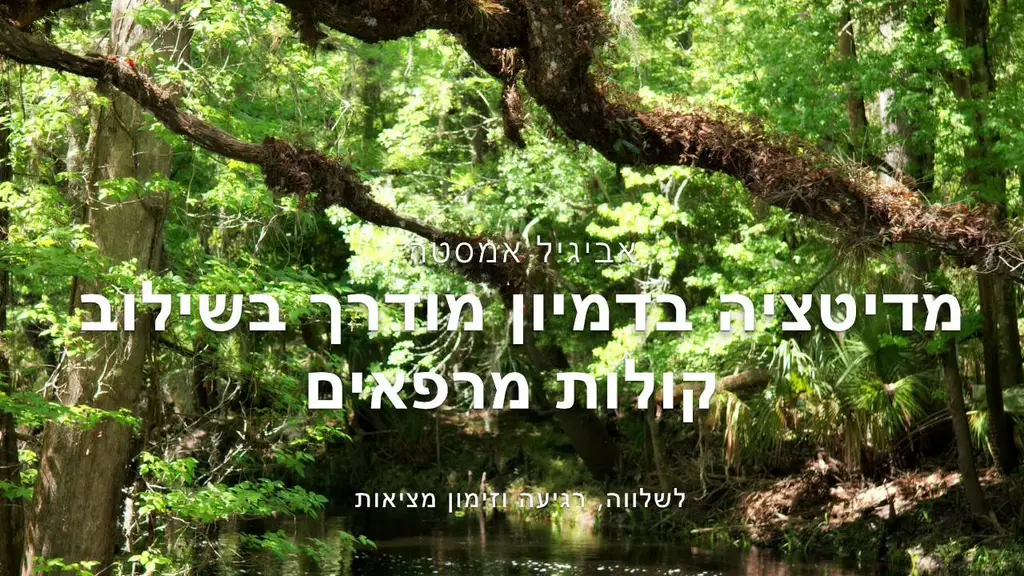 מדיטציה בדמיון מודרך | זימון שפע | מוזיקה מרגיעה | שירה שמיימית