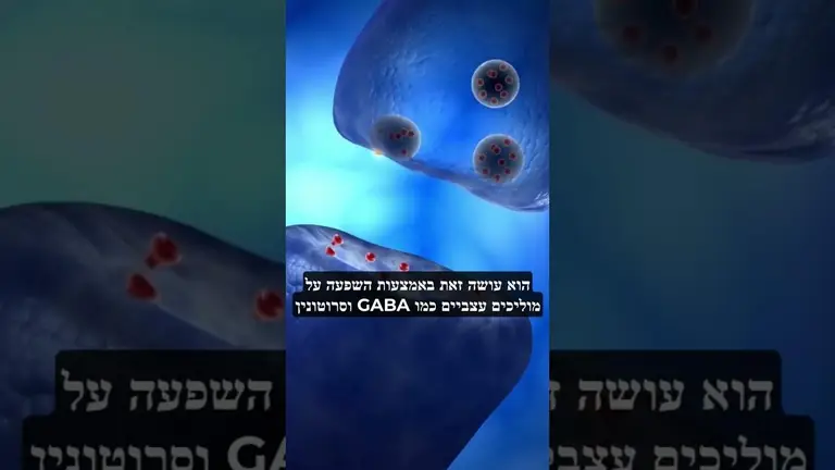 המינרל שמפחית לחץ נפשי, חרדה ונדודי שינה