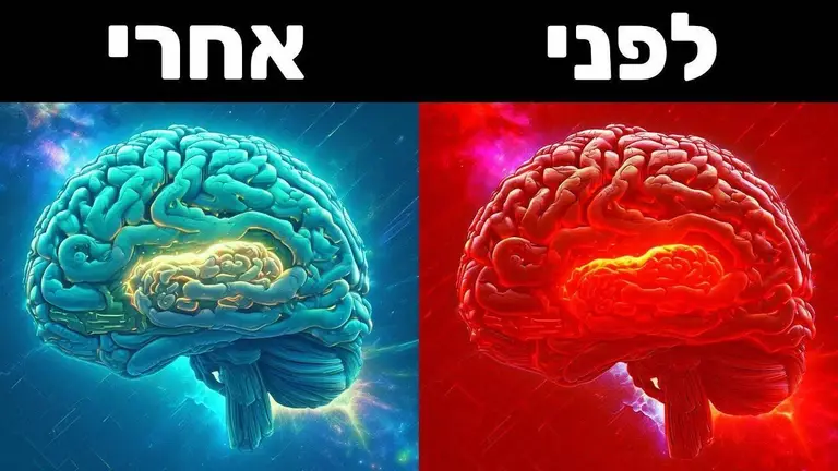 מדיטציה להרגעה – 5 דקות מדיטציה (לבוקר / לפני השינה)