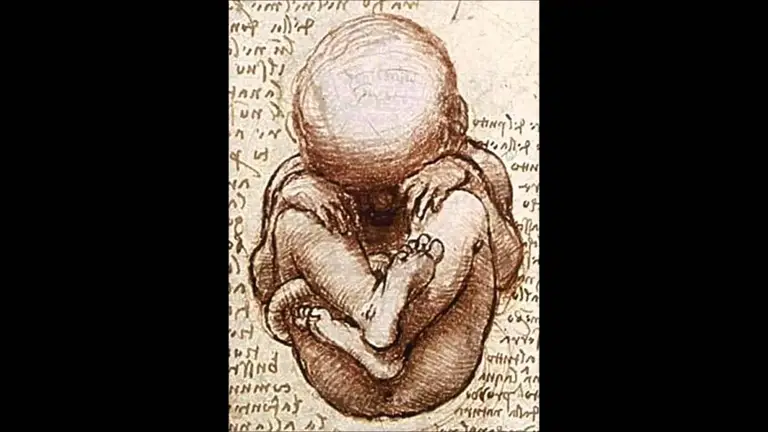 מדיטציה מודרכת לחיבור לטרום הלידה להבנת היעוד שלנו בחיים