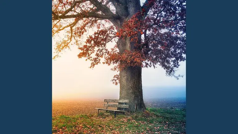 מוזיקה מרגיעה – נעימות פסנתר שקטות ומרגיעות