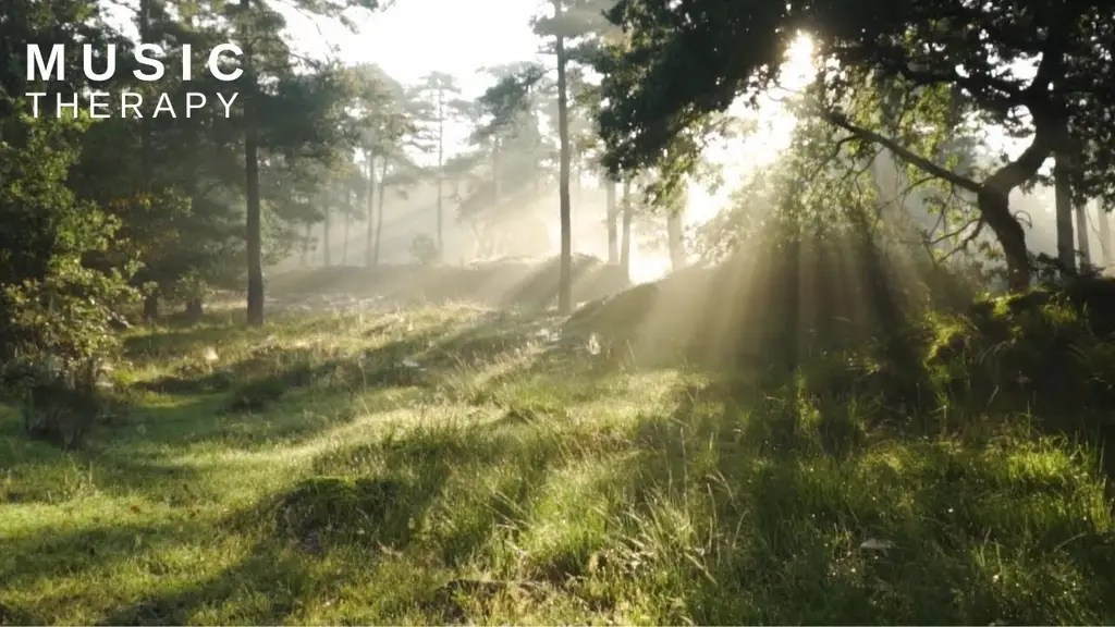 נעימה מרגיעה ואופטימית למוטיבציה והתחלת יום חיובית ☀ נעימות חליל ליוגה, לימודים, מטלות הבית ועבודה