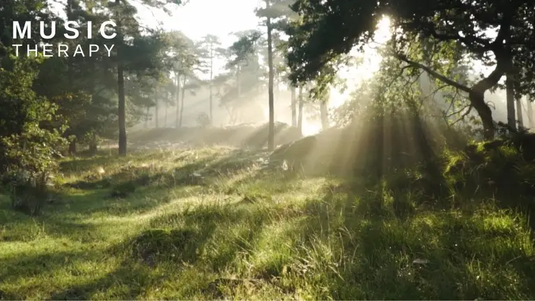 נעימה מרגיעה ואופטימית למוטיבציה והתחלת יום חיובית ☀ נעימות חליל ליוגה, לימודים, מטלות הבית ועבודה