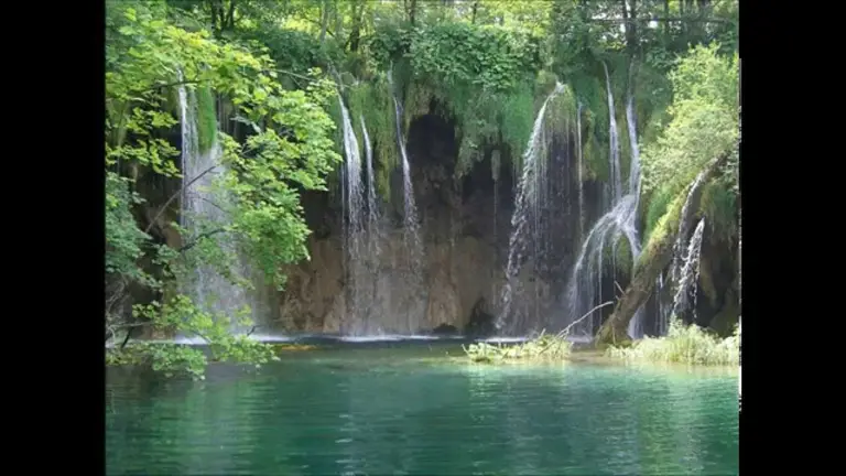 הרפיה, להחלמה ממחלות גופניות – בריכת המרפא.  ד"ר ברוך אליצור, פסיכולוג