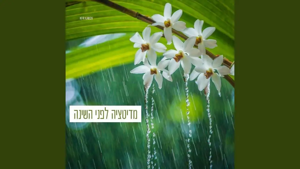 מדיטציה לפני השינה 6