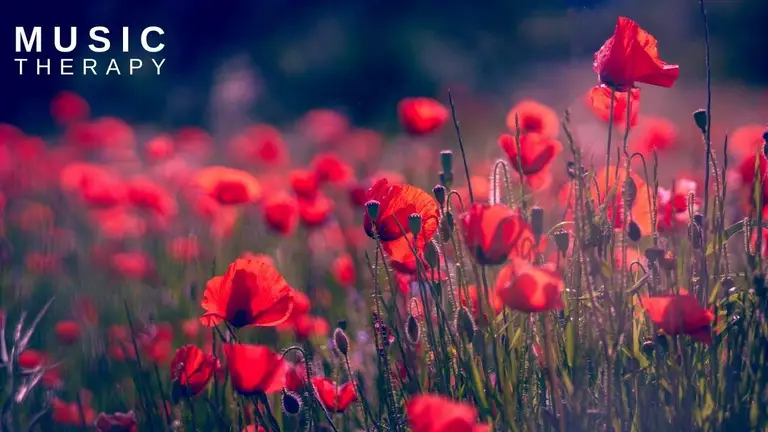 מוזיקה מרגיעה עם צלילי גשם  ♥ מרגיע את הנפש ♥ נעימות שקטות, מנגינה מרגיעה, מוזיקה מרגיעה לשינה