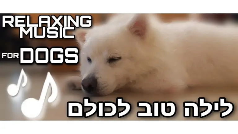 זמן לישון – מוזיקה מרגיעה לכלבים לשינה, להורדת לחץ, להפגת מתחים ולרוגע נפשי