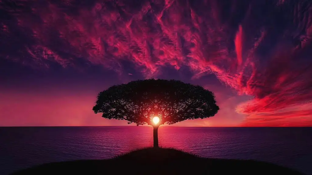 רוגע ושחרור שליטה| מדיטציה | הרפייה עמוקה