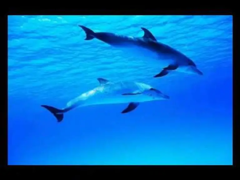 ים נעימה מרגיעה