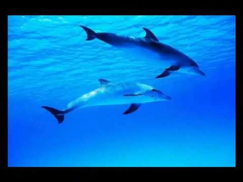 ים נעימה מרגיעה