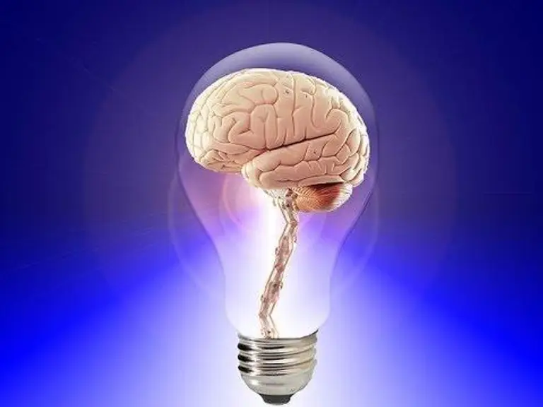 תדרים לניקוי ופתיחת בלוטת האיצטרובל