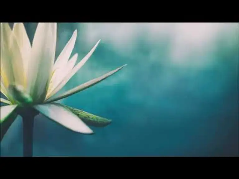 מדיטציית  מיינדפולנס סריקת גוף – מיכל גורל