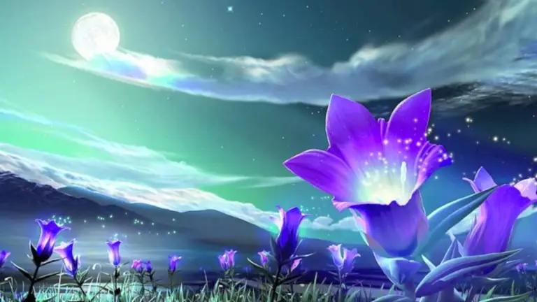 מדיטציית זוגיות – לזימון הזיווג הנשמתי [דמיון מודרך]