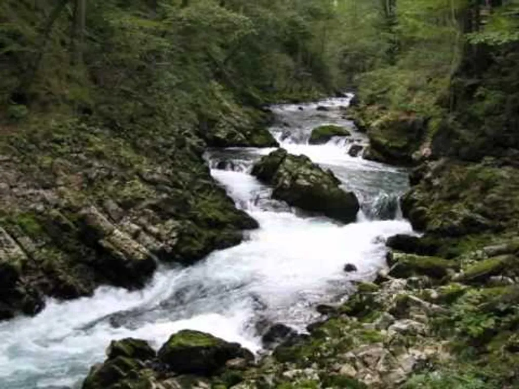 רכבת החלומות – דיסק דמיון מודרך לילדים (2)