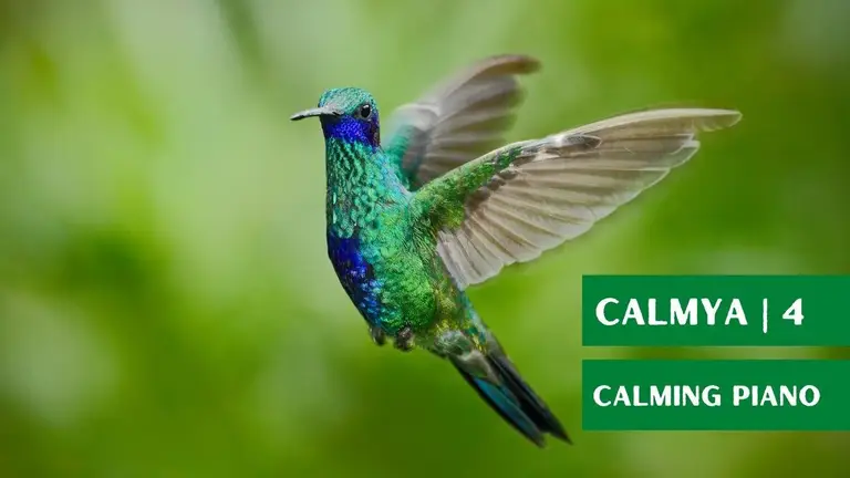 Meditation Music for Relaxation and Mindfulness (Calming piano)