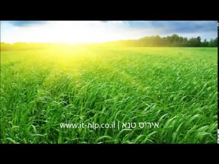 השקט שלפני השינה – תרגיל הרפיה בדמיון מודרך