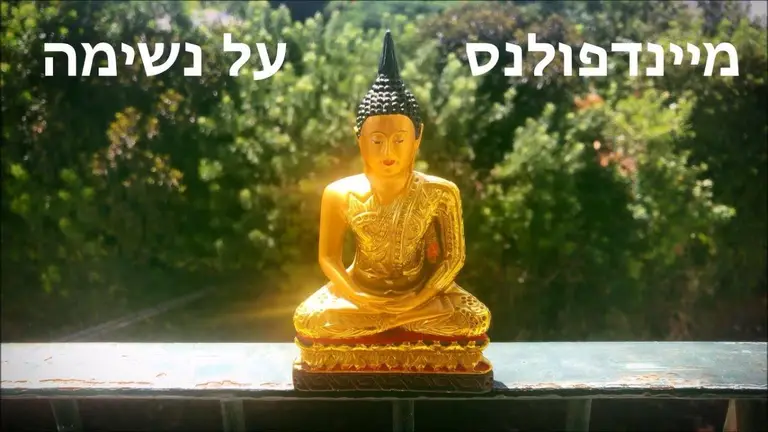 מדיטציה של מודעות לנשימה – שיעור מדיטציה פרטי בהנחיית מג לנדאו