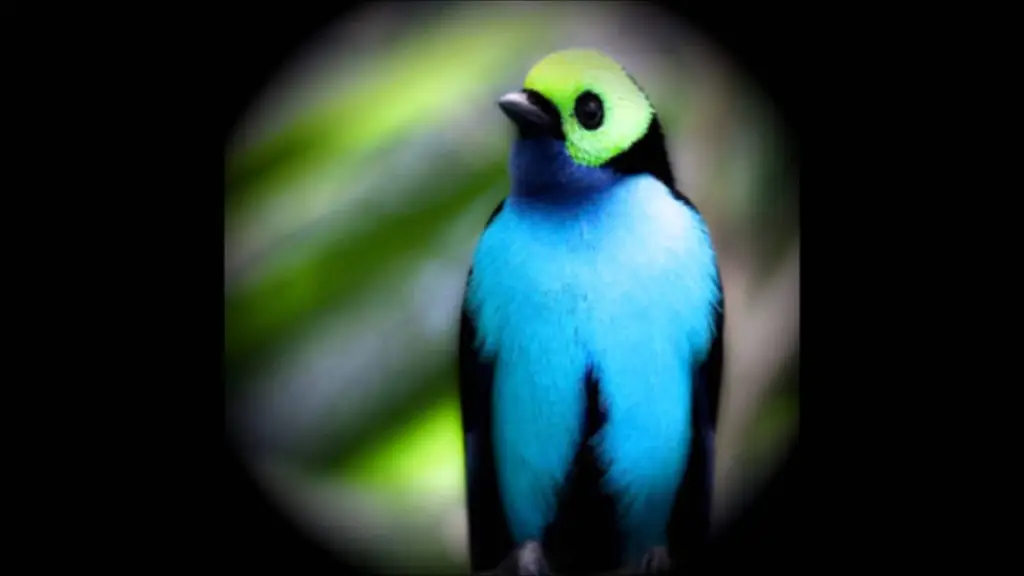 בטחון ומוטיבציה — דימיון מודרך