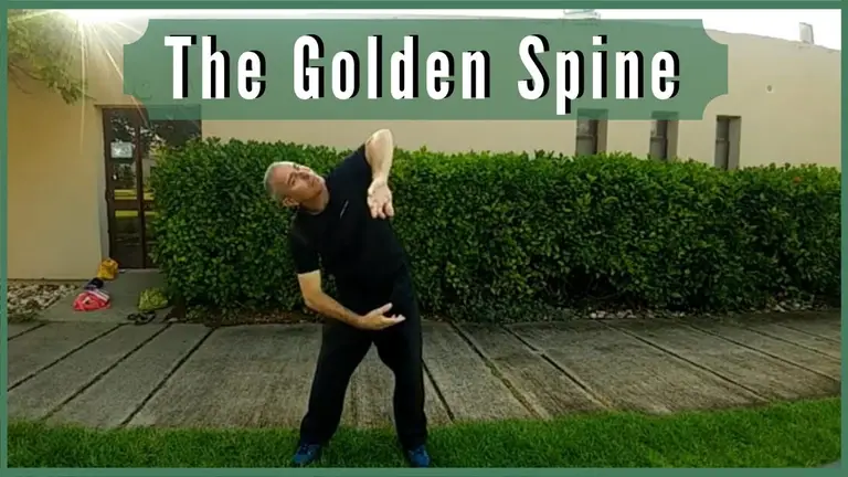 the golden spine – healing qi gong  – צ'י קונג לשחרור הגב