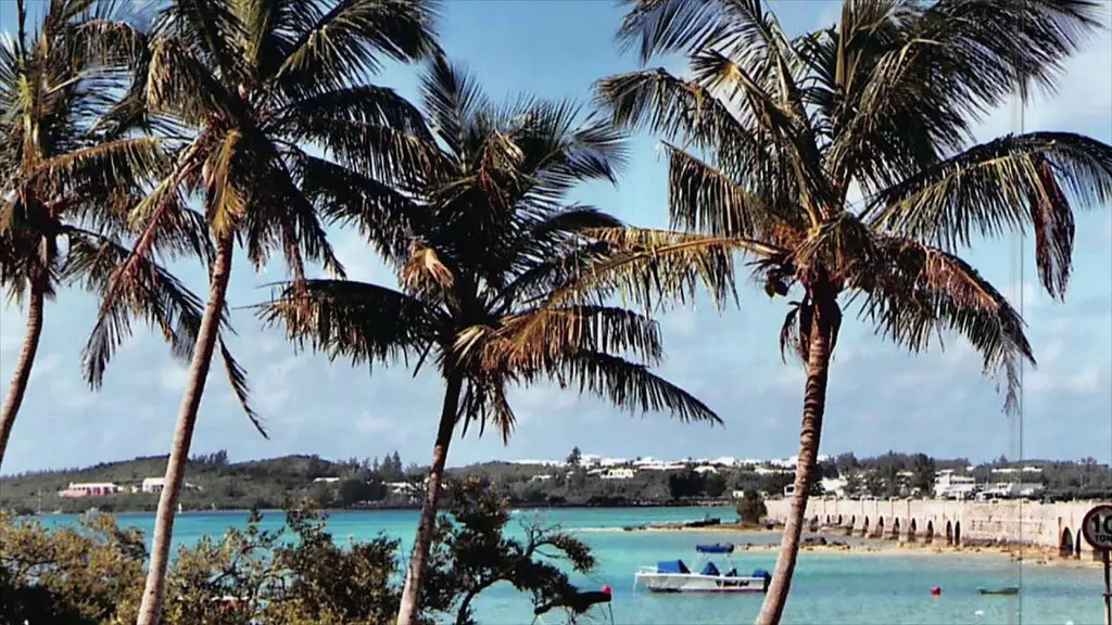 הרזיה בהרפיה# 1, ד"ר ברוך אליצור, פסיכולוג קליני