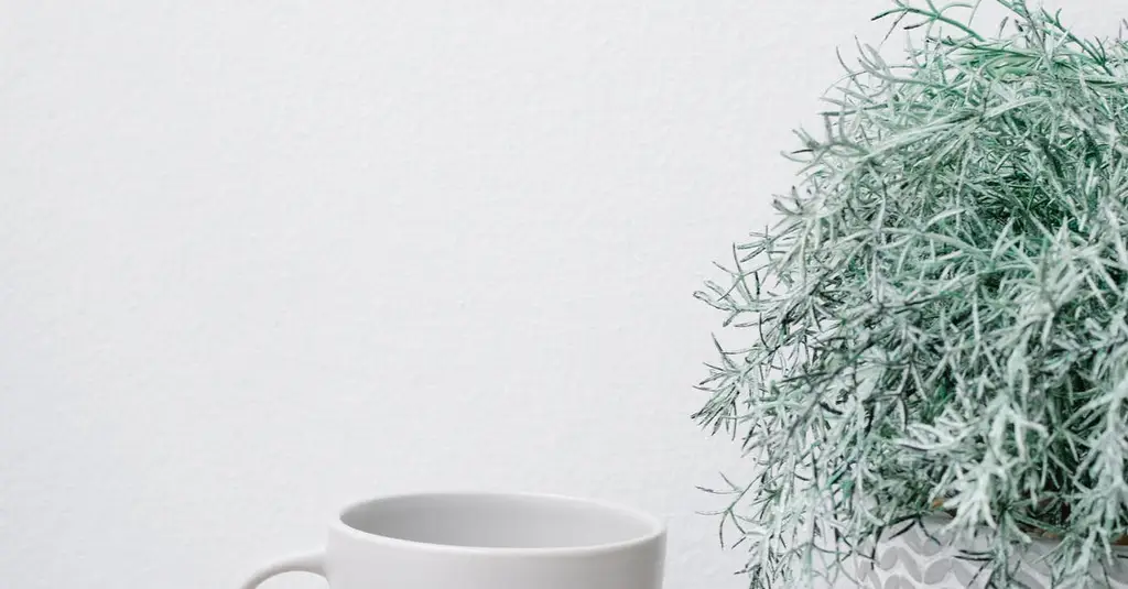 קואצ'ר באבו גוש — מצאו מאמן לחיים מוסמך | CoachOnline