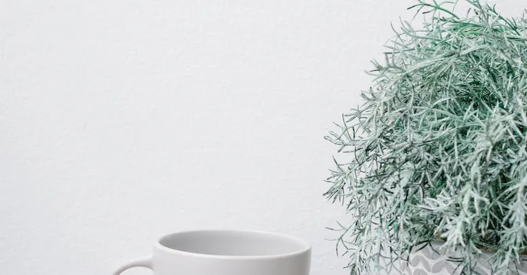 איך מאמן אישי באבו גוש יכול לעזור לך להשיג את המטרות שלך