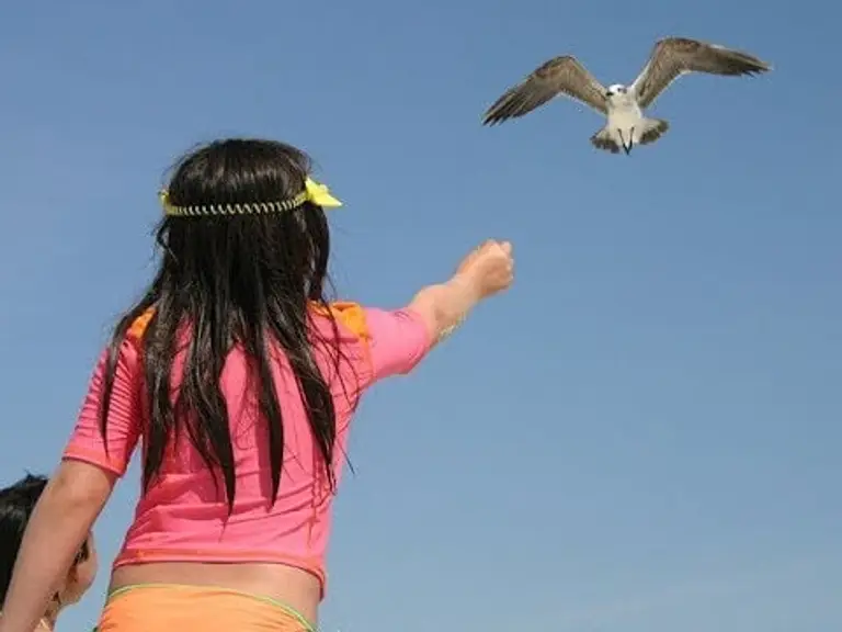 דמיון מודרך לילדות לפני השינה (פתיח)