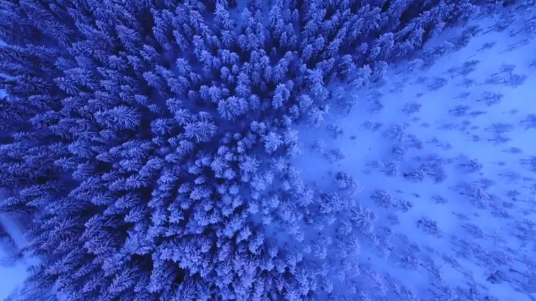 מדיטציה ודמיון מודרך לפני השינה