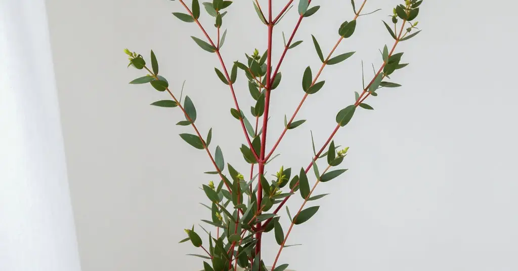 קואצ'ר באשקלון — מצאו מאמן לחיים מוסמך | CoachOnline