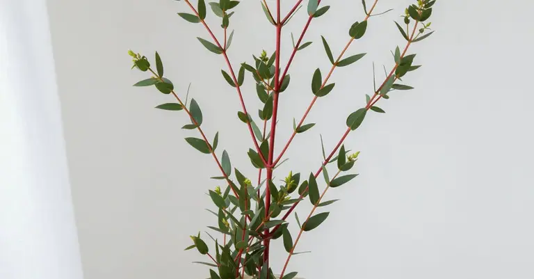 קואצ'ר באשקלון — מצאו מאמן לחיים מוסמך | CoachOnline