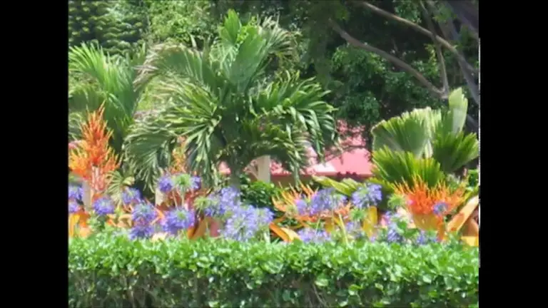 הרפיה, בעזרת כיווץ והרפיית איברים, ד"ר ברוך אליצור פסיכולוג