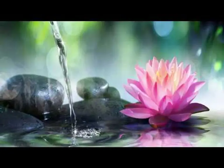 הרפיה לפני השינה עובד בדוק – עובדיה טרנינג 2020 – דמיון מודרך לשינה עמוקה