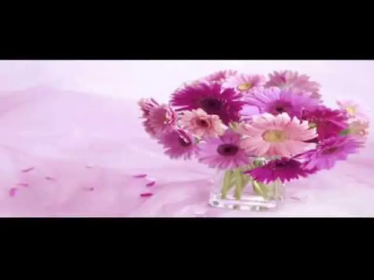 מדיטציה בדמיון מודרך והרפיה עמוקה – חובה!!!