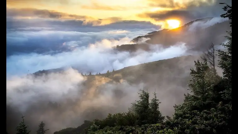 מדיטציה לבוקר – כך תבראו יום מושלם