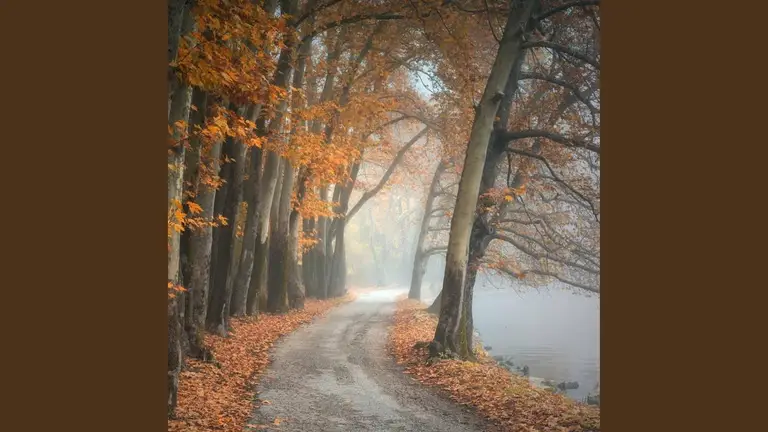נעימות פסנתר מרגיעות לשינה, מדיטציה, הרפיה ויוגה