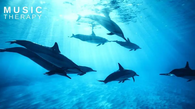 מוזיקה מרגיעה יפיפייה עם צלילי מים – מנגינה מרגיעה לכל פעילות, מוזיקה מרגיעה לשינה, נעימות מרגיעות