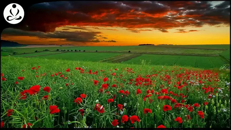 מוזיקה מרגיעה ליוגה | מוזיקה ליוגה | מוזיקה מרגיעה