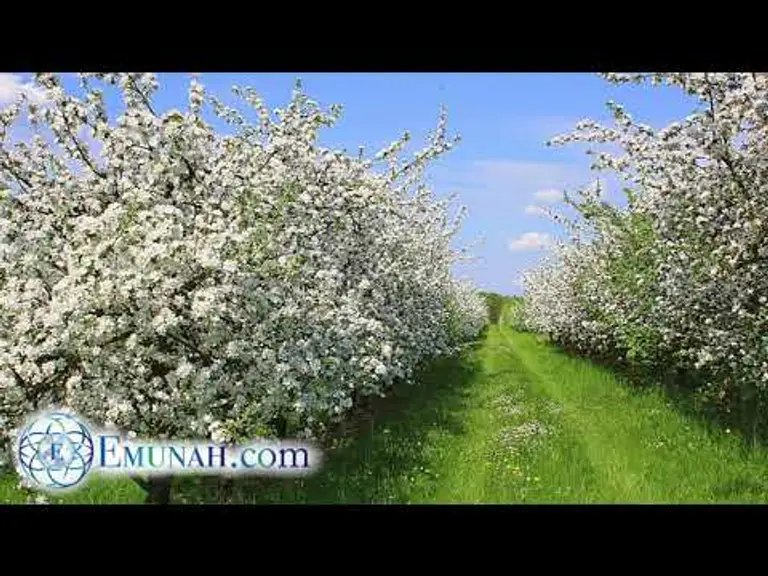 מדיטציה יהודית – הפוטנציאל של הנשמה | רב דרור משה קסוטו