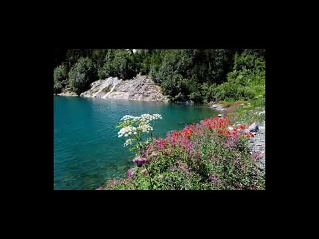 הרפיה להחלמה ממחלות ולשיפור הבריאות. ד"ר ברוך אליצור, פסיכולוג