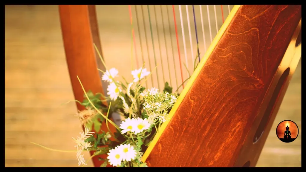 🎵 מוסיקת נבל מרגיעה | צלילי מים 🎵