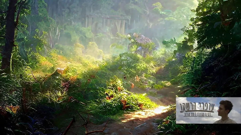 שביל השאלות – מדיטציה בדמיון מודרך לרגיעה וניקוי המחשבות לפני השינה (מתאים גם לילדים)