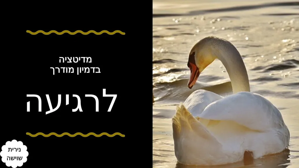 מדיטציה לרגיעה ושינה – נירית שוישה