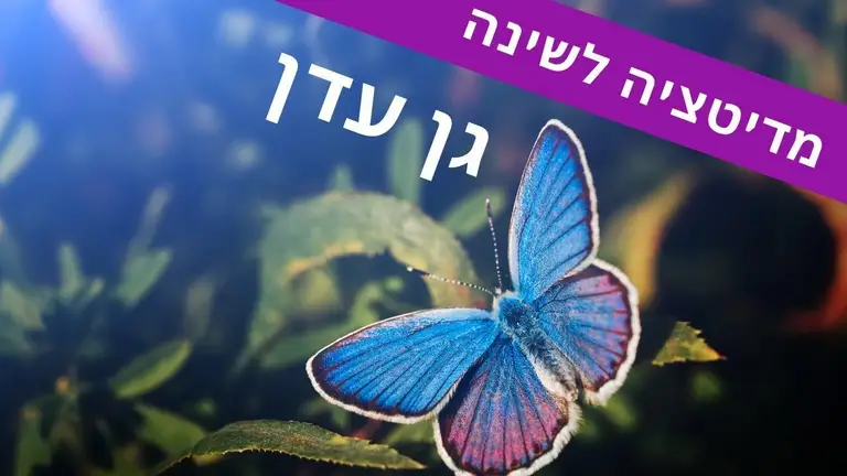 מדיטציה לפני שינה גן עדן | מדיטציה לשינה עמוקה עם המאמנת ליה