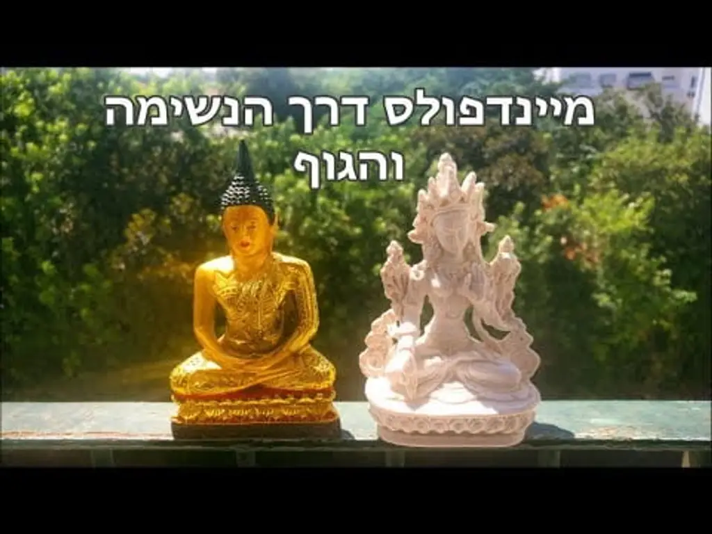 מדיטציה מונחת של מודעות לגוף ולנשימה – מתוך קורס מדיטציה – מיינדפולנס למתחילים