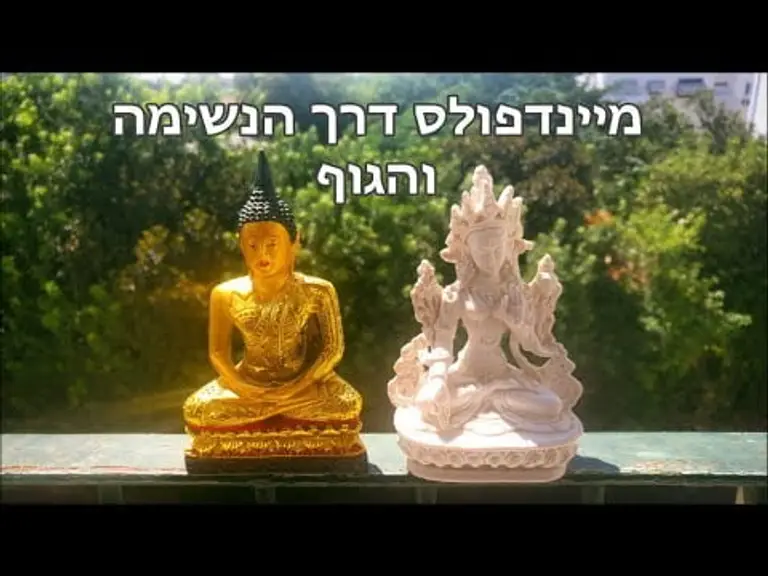 מדיטציה מונחת של מודעות לגוף ולנשימה – מתוך קורס מדיטציה – מיינדפולנס למתחילים