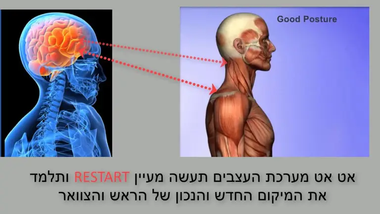 תרגיל להקלה מ: כאבי צוואר, שכמות, כתפיים, כאבי לסת וכאבי כאבי ראש וסחרחורות ד"ר שגיב
